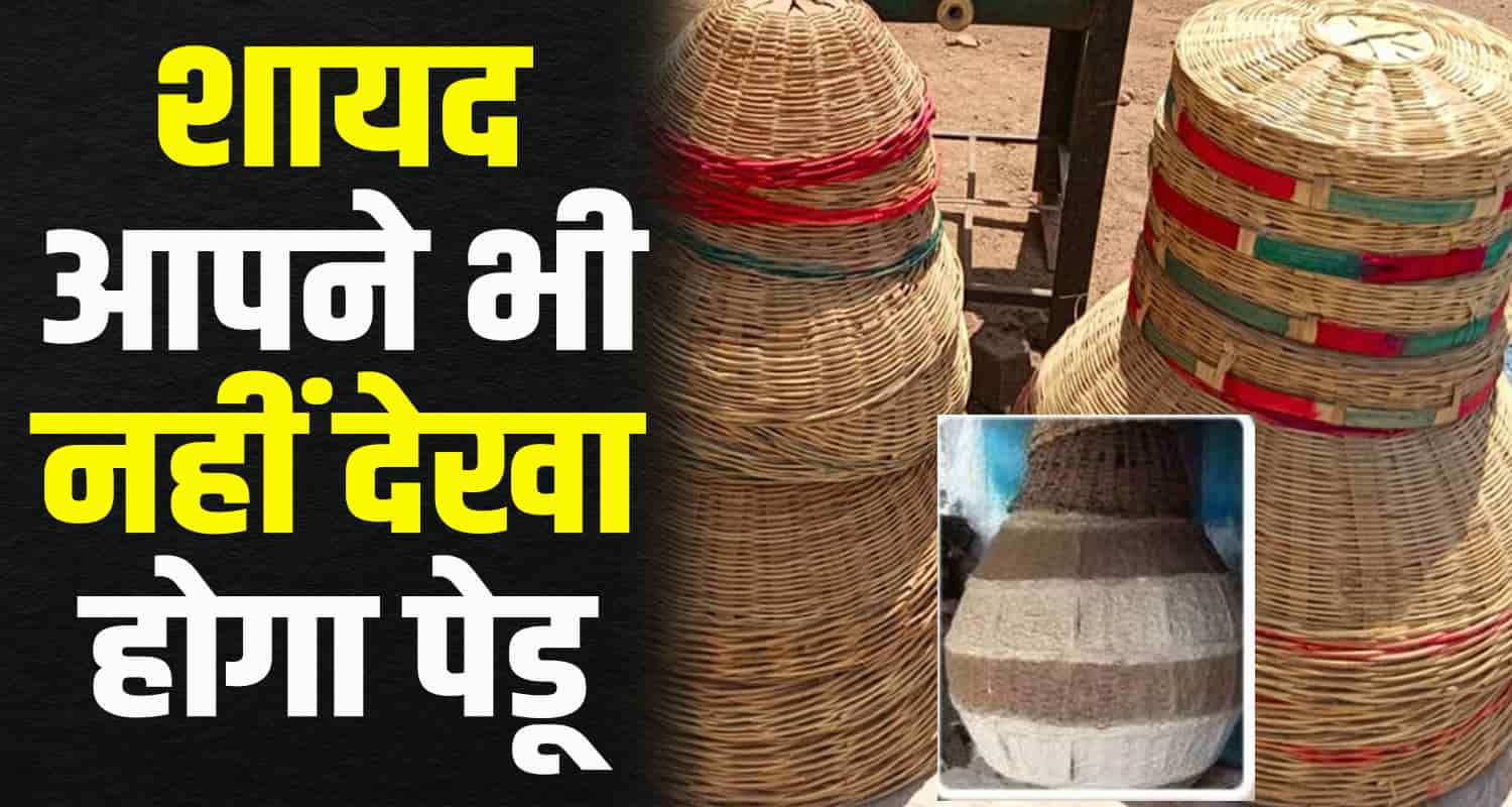 Pedu himachali culture himachal pradesh storage container tradition