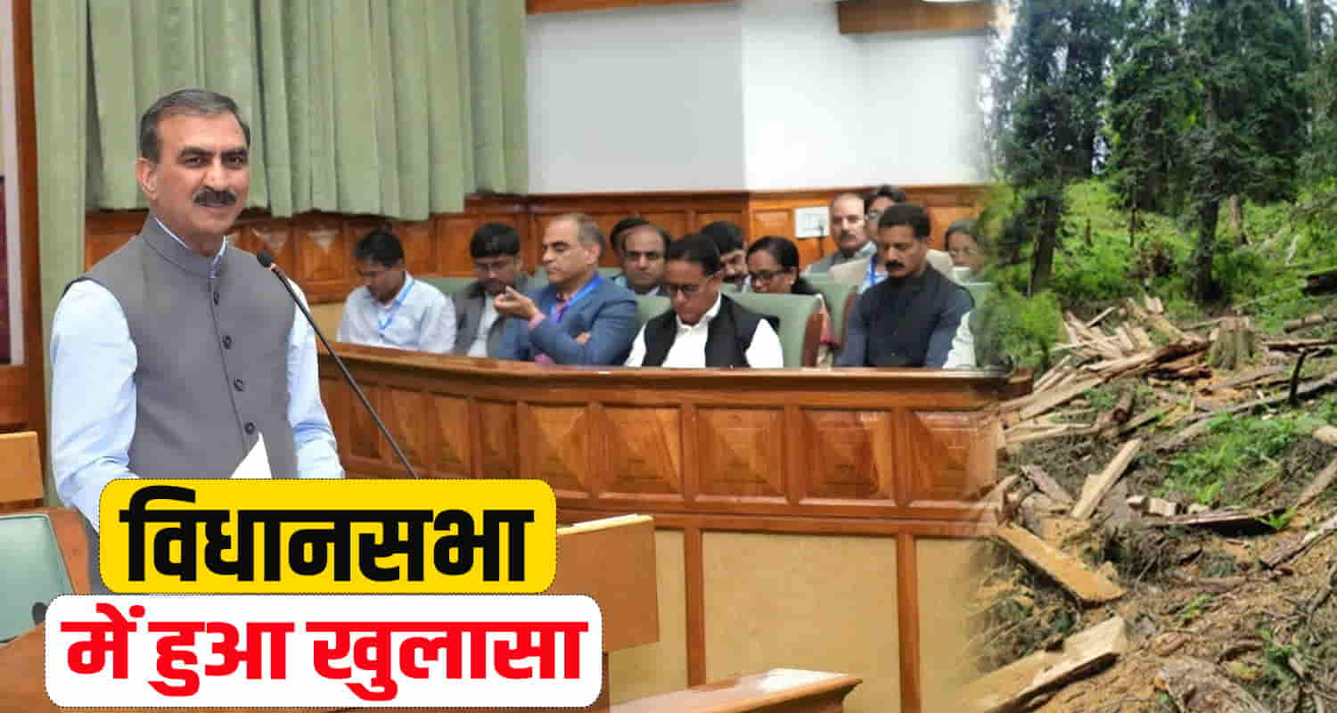 Himachal assembly monsoon session data illegal cutting green trees