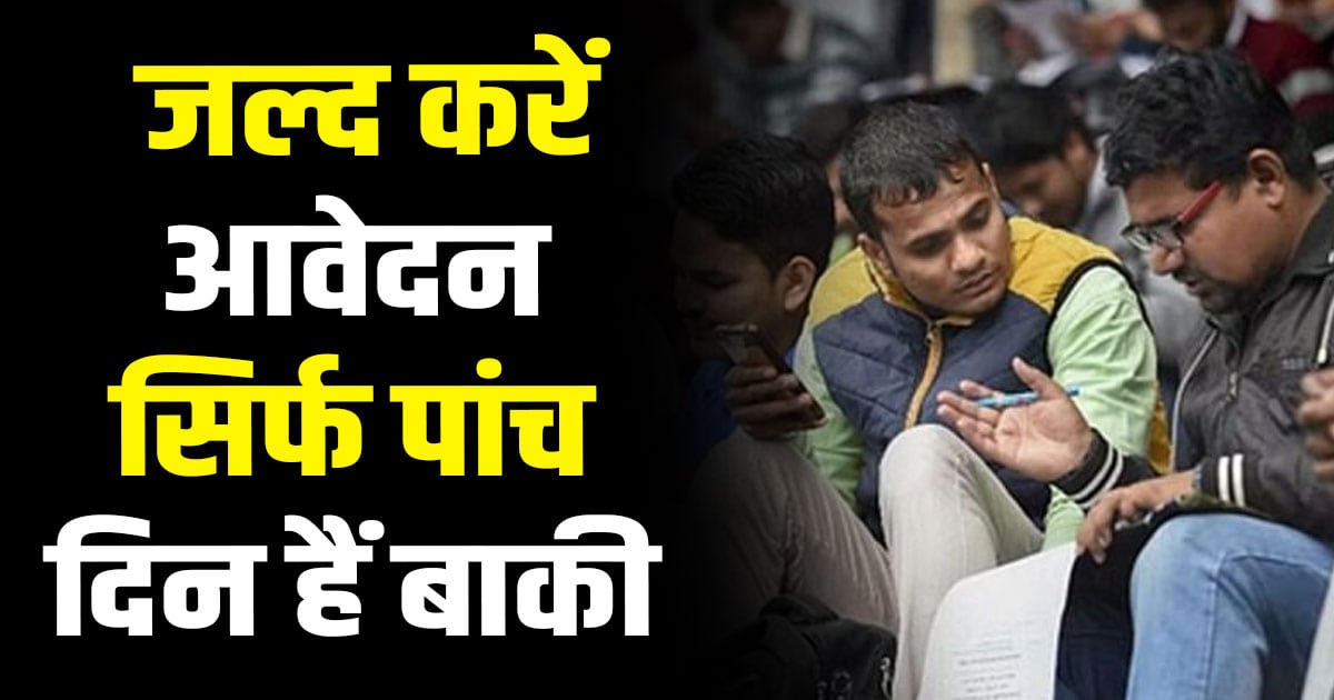 Bilaspur campus interview 150 posts himachal jobs