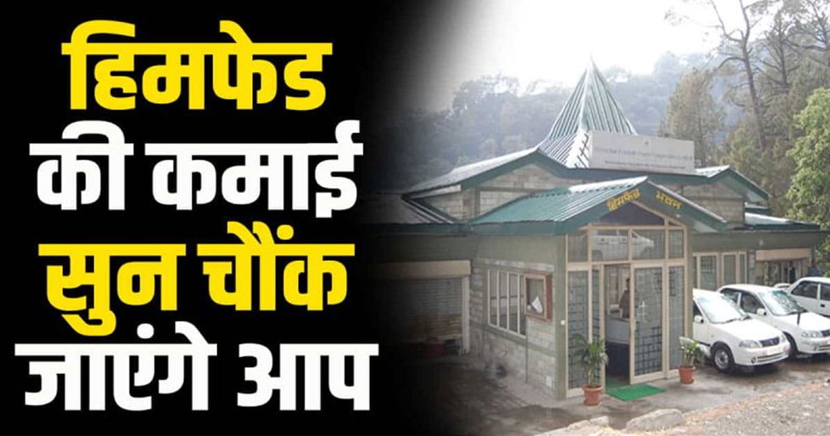 Himachal himfed earning profit 35 lakh building property parwanoo lease industries