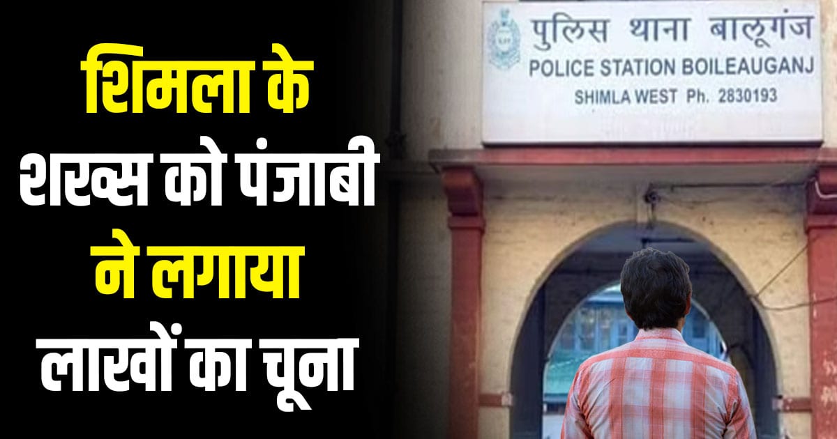 Shimla man duped punjab youth wheat deal fraud lakh rupees