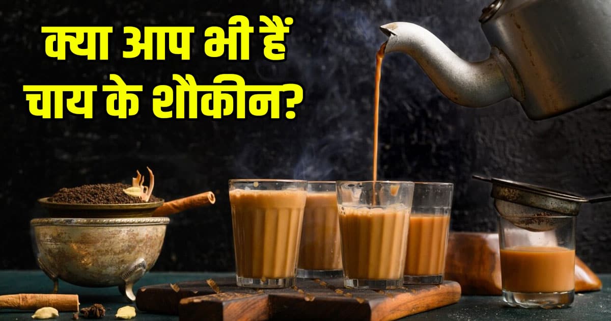 How many cups of tea should a man drink day know the disadvantages and advantages