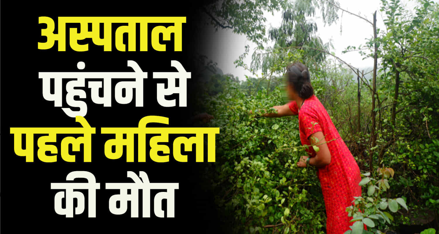 Himachal chamba woman bitten by snake in kitchen garden of house