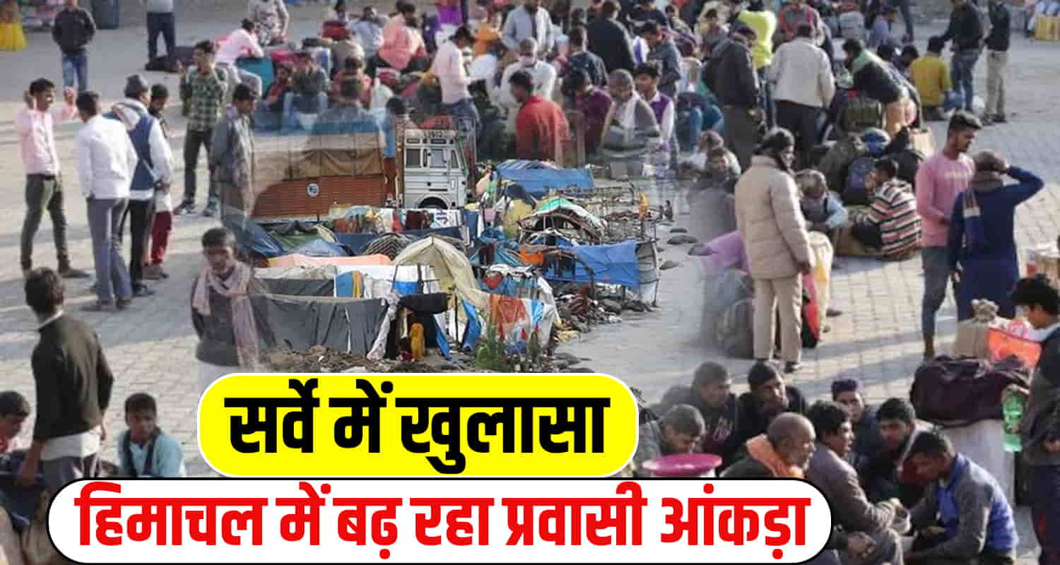 Himachal news 1 42 lakh migrants living survey conducted solan shimla people from other state