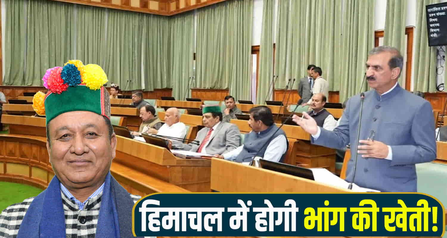 Himachal pradesh legislative assembly discussion cannabis legal sukhu govt