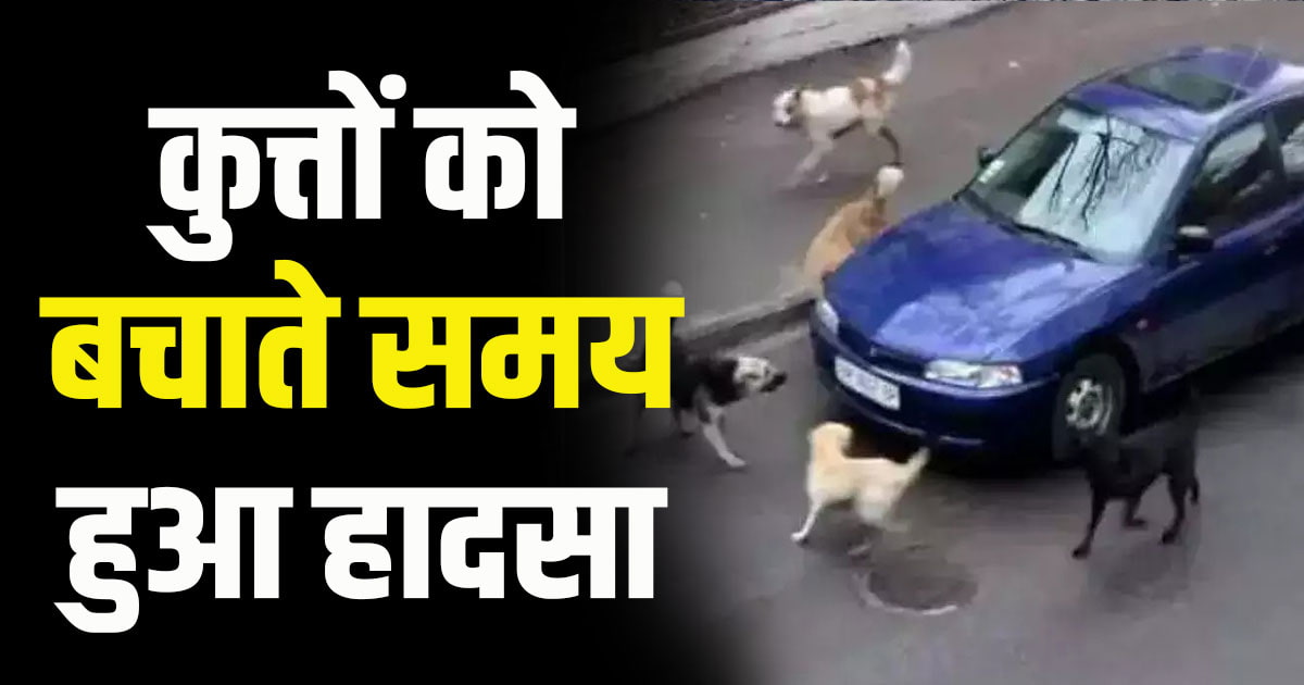 Street dogs car boy haroli road una tahliwal santoshgarh