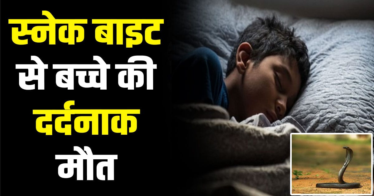 Himachal news 9 year old innocent snake bite igmc shimla solan update hp hospital