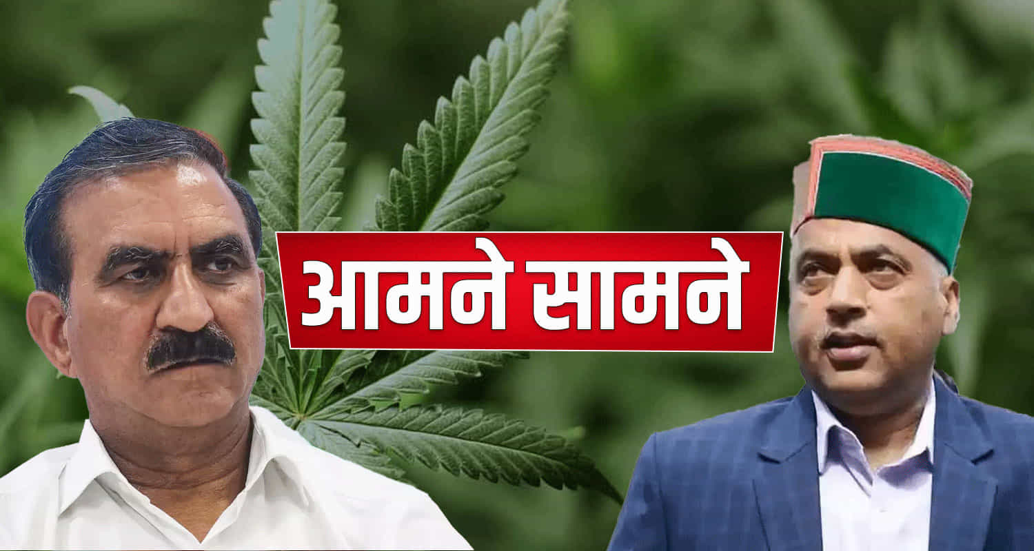 Differences in bjp leaders over hemp cultivation in himachal