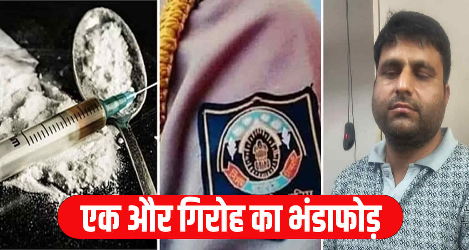 Shimla police against chitta smuggling radhe gang shahi mahtma himachal news hindi update