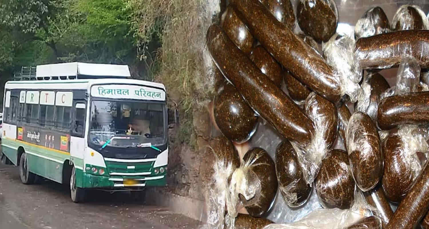 Big consignment charas found in bag in hrtc bus himachal chamba