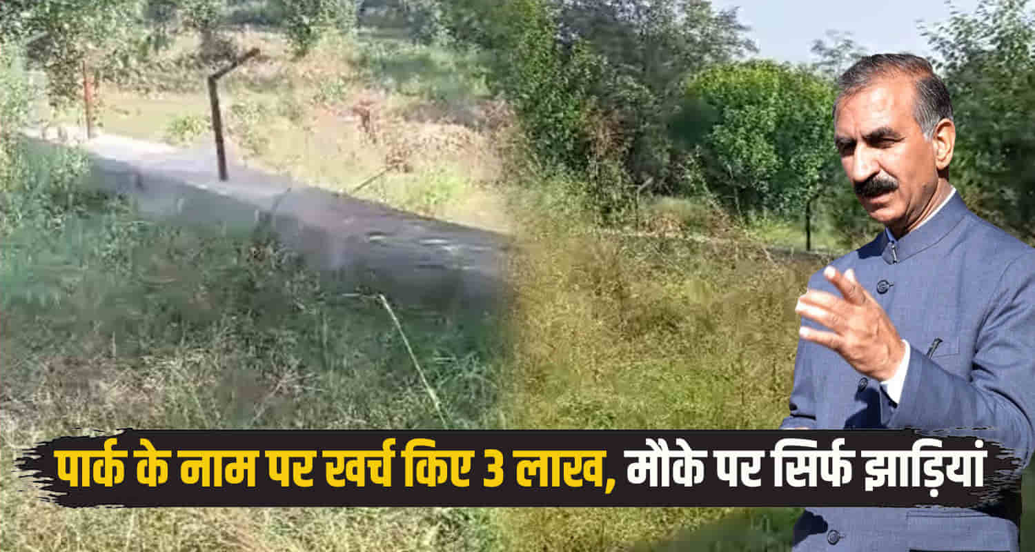 Himachal hamirpur district balh panchayat children park scam of rs 3 lakh