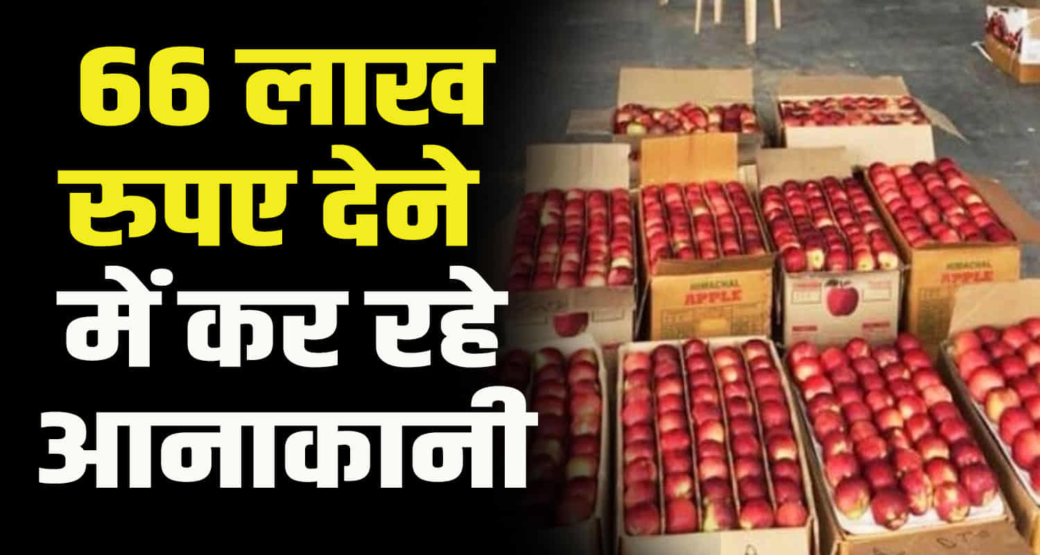 Two apple business brothers from up cheated a commission agent from shimla himachal of 66 lakhs