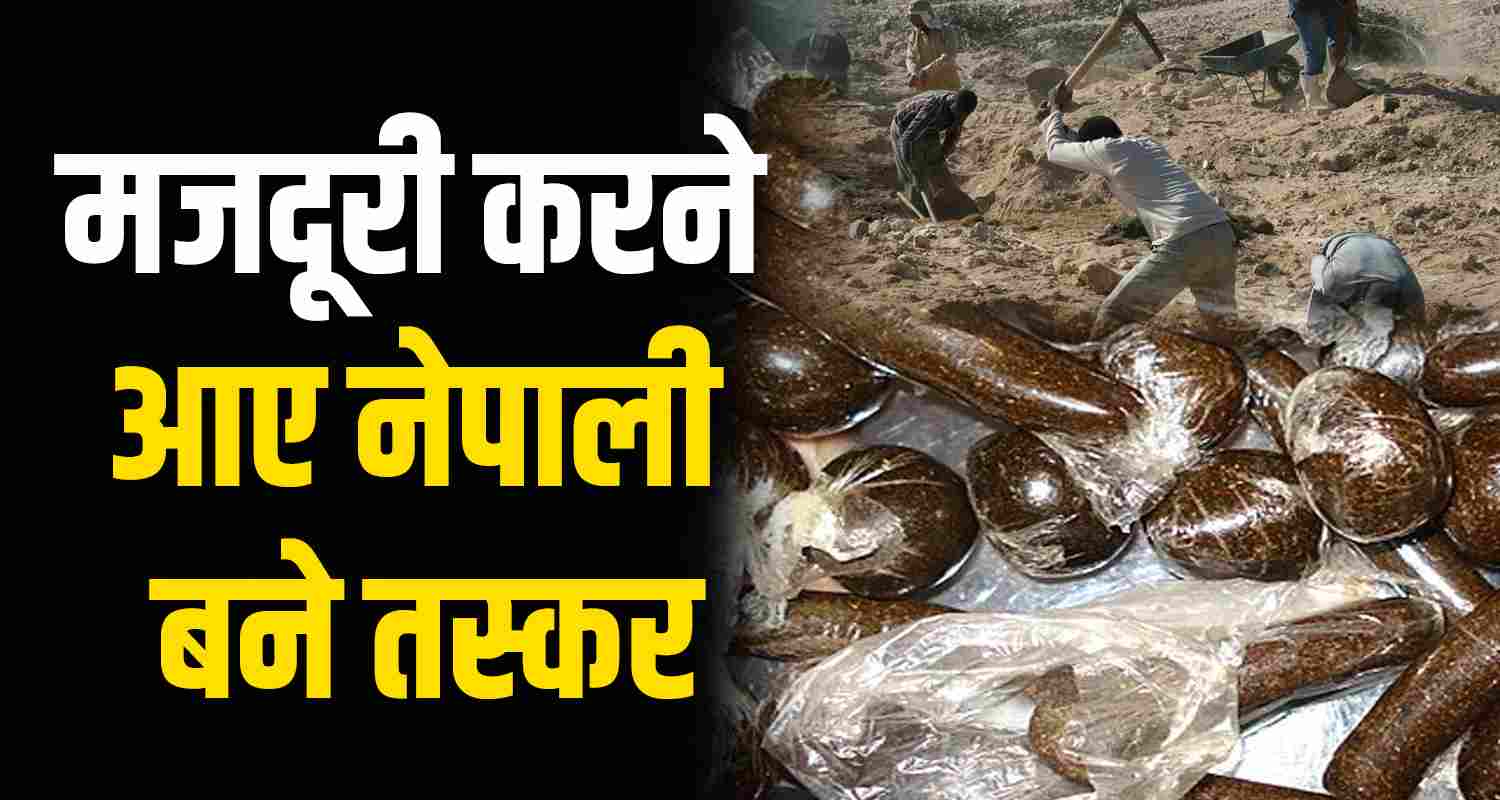 Charas drugs smugglers nepali labourer shimla himachal pradesh