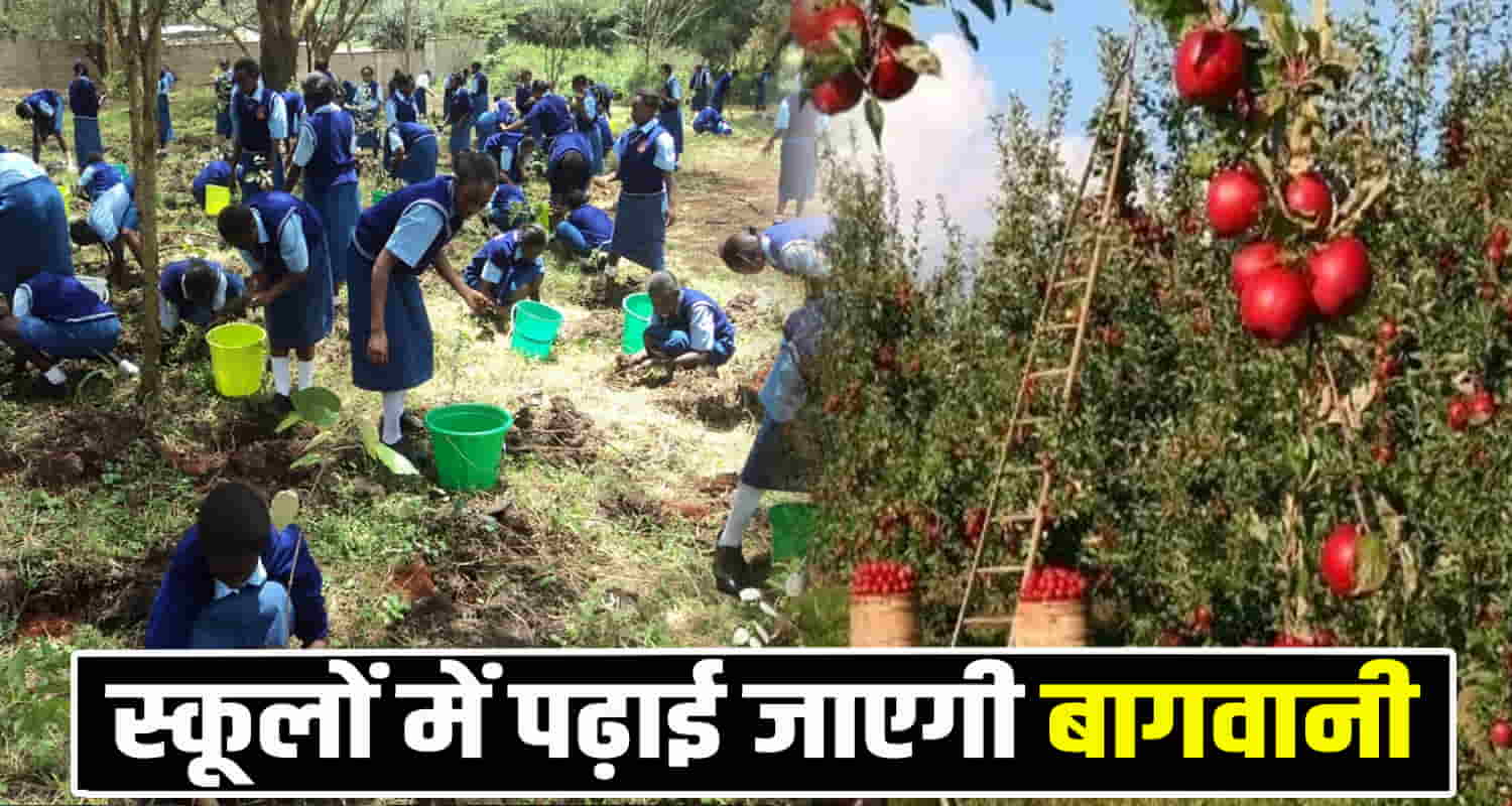 Apple horticulture study himachal pradesh schools students gdp farming