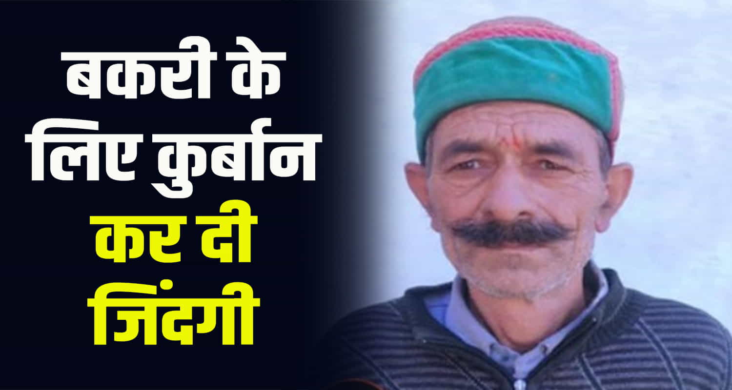 Sirmaur leopard goat man attack heart forest igmc shimla himachal