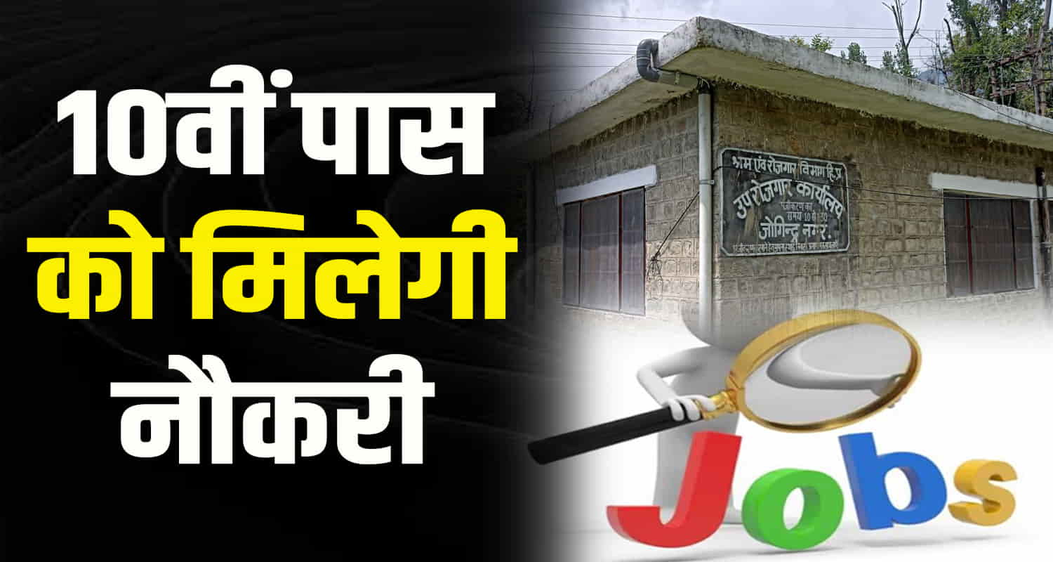 Mandi campus interview 150 posts company recruitments himachal