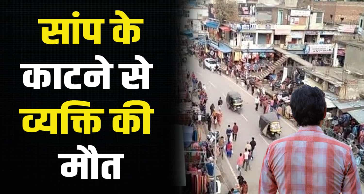 Jawali man 35 years old kangra snake himachal pradesh baddi solan