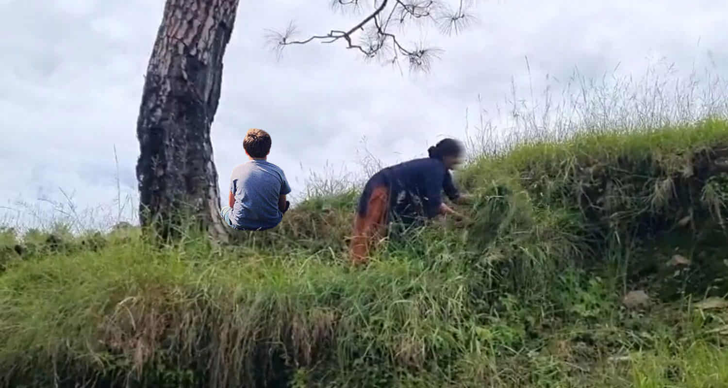 Himachal shimla nerwa 3 year old innocent fell into the ditch