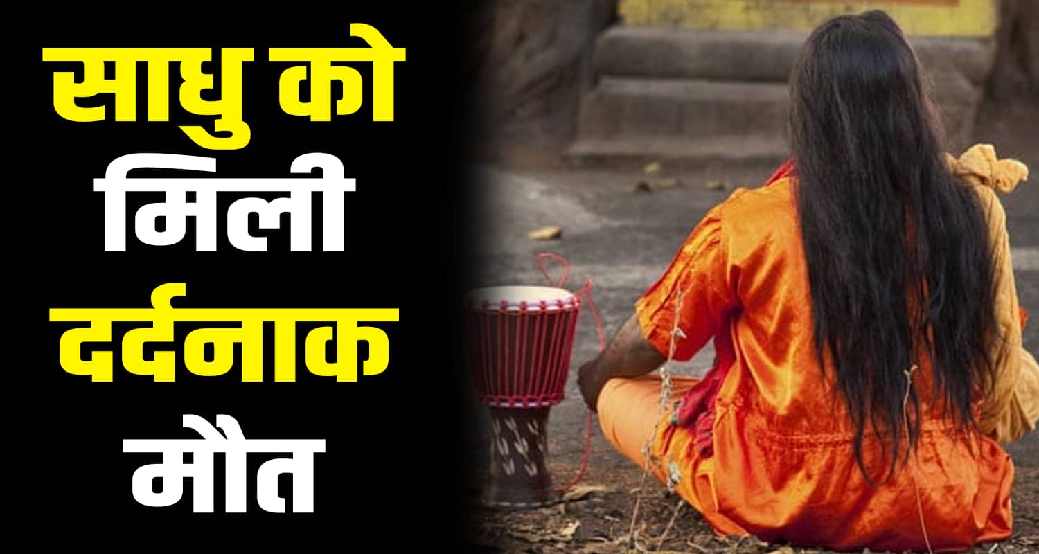 Car man bushes bilaspur saint road himachal pradesh