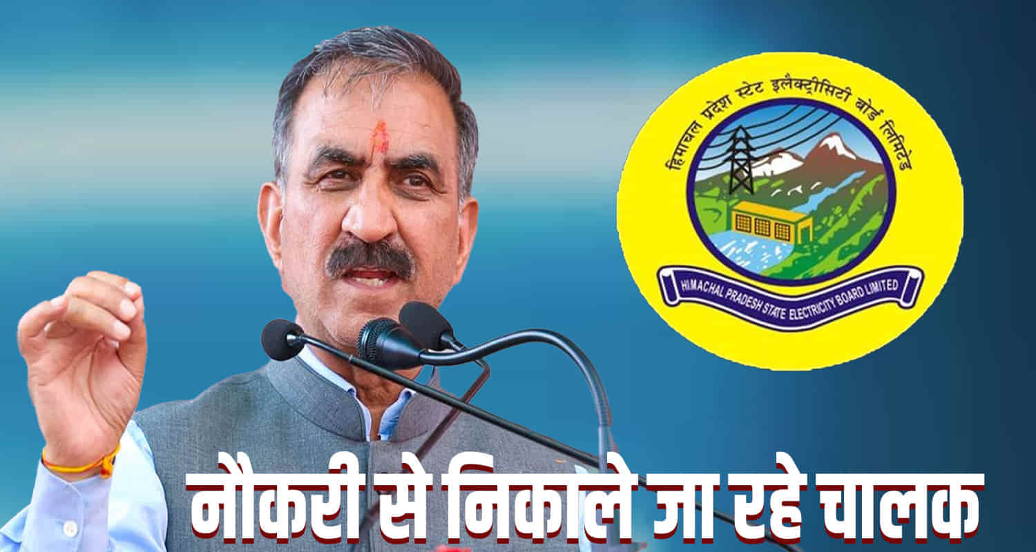 Services of 81 outsourced drivers of himachal pradesh electricity department have been terminated