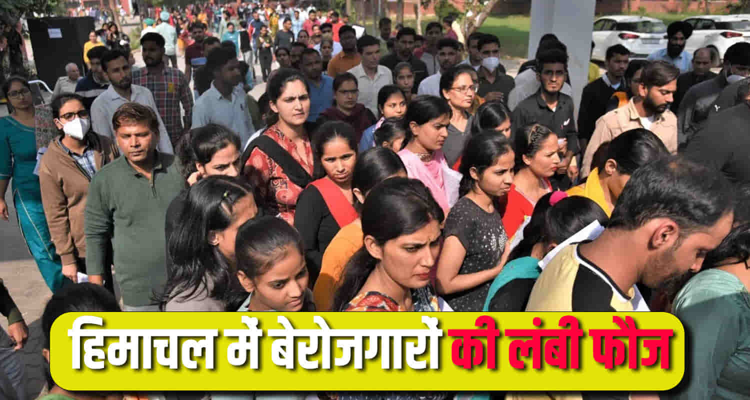 Himahcal news 15000 jobs in2 year by cm sukhu govt jobless youth in kangra