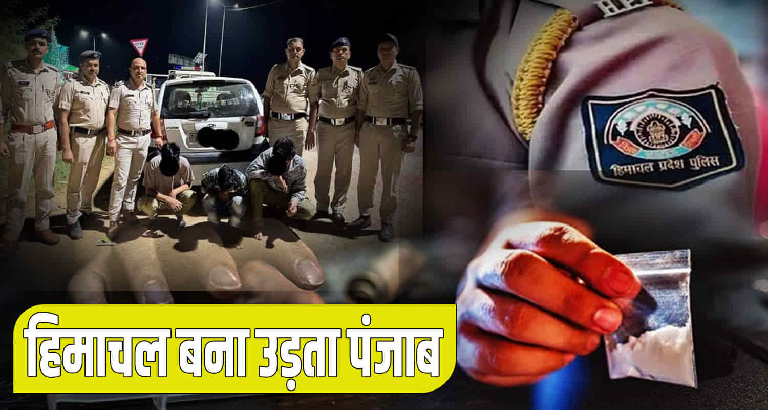 Himachal news ndps case ntf chitta case charas total quantity police cid