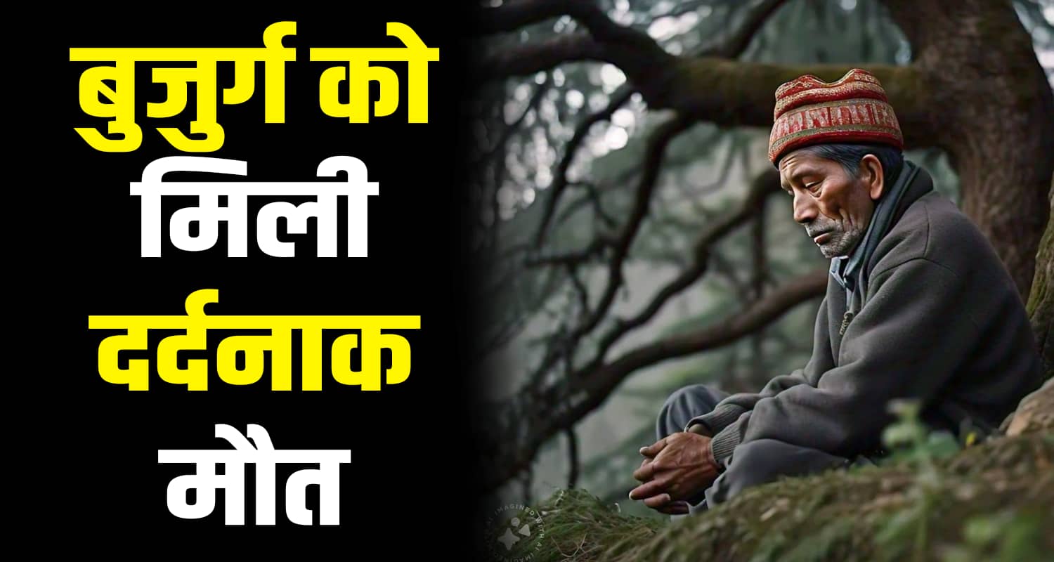 69 years old man falling tree mandi himachal pradesh