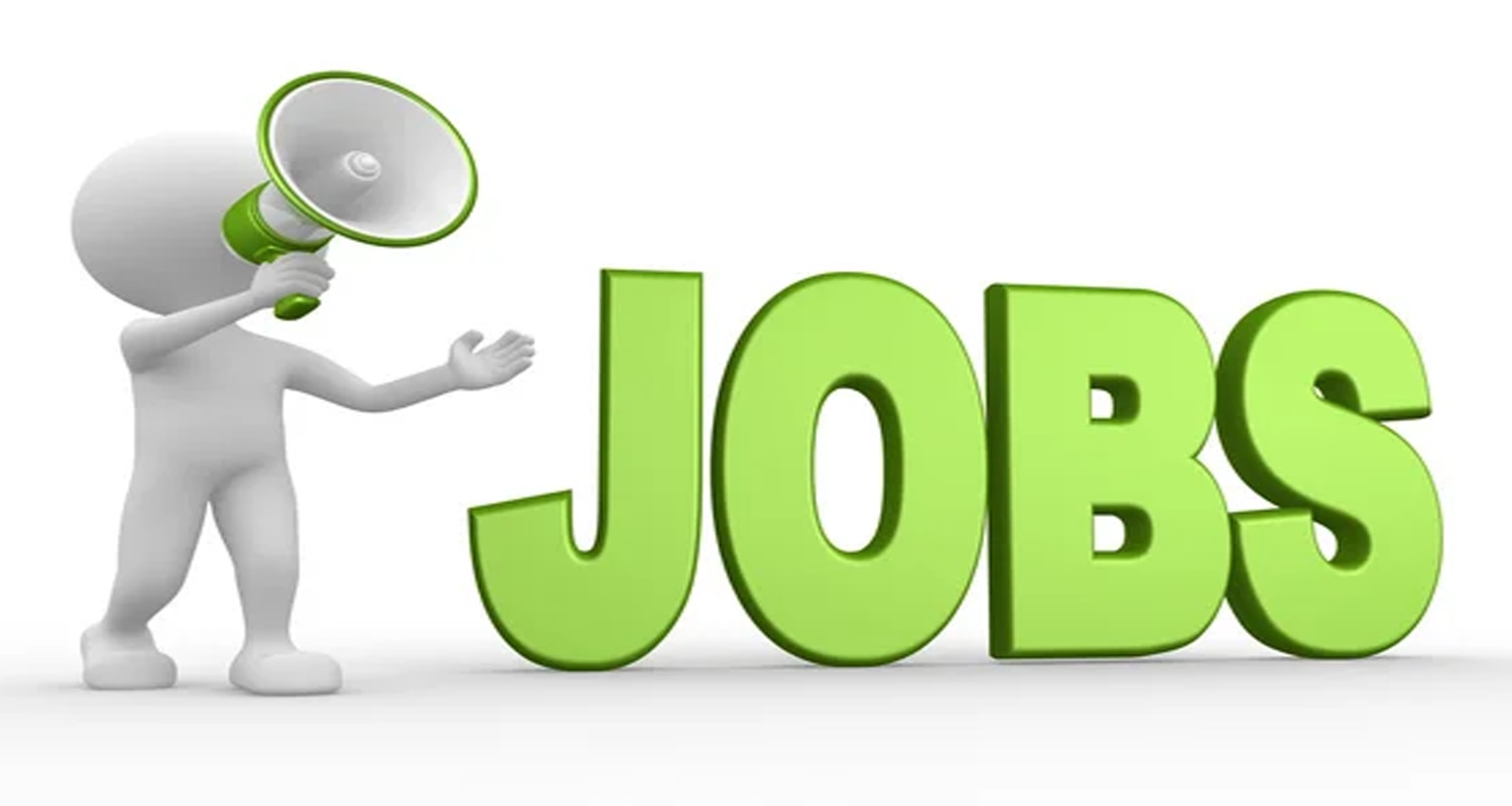 479 posts vacancies kangra campus interview himachal pradesh