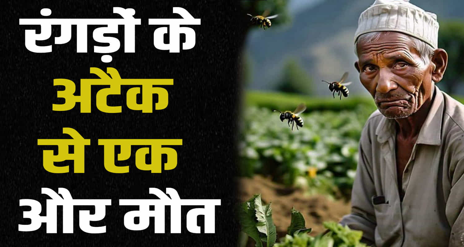 Himachal news kangra jwalamukhi attack by jackals old man no more hospital