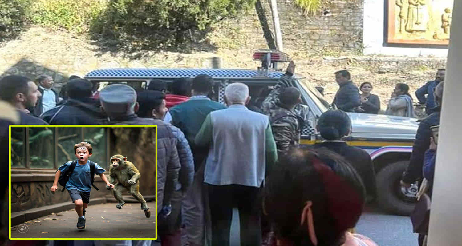 Himahcal news school child igmc shimla monkey attack on student