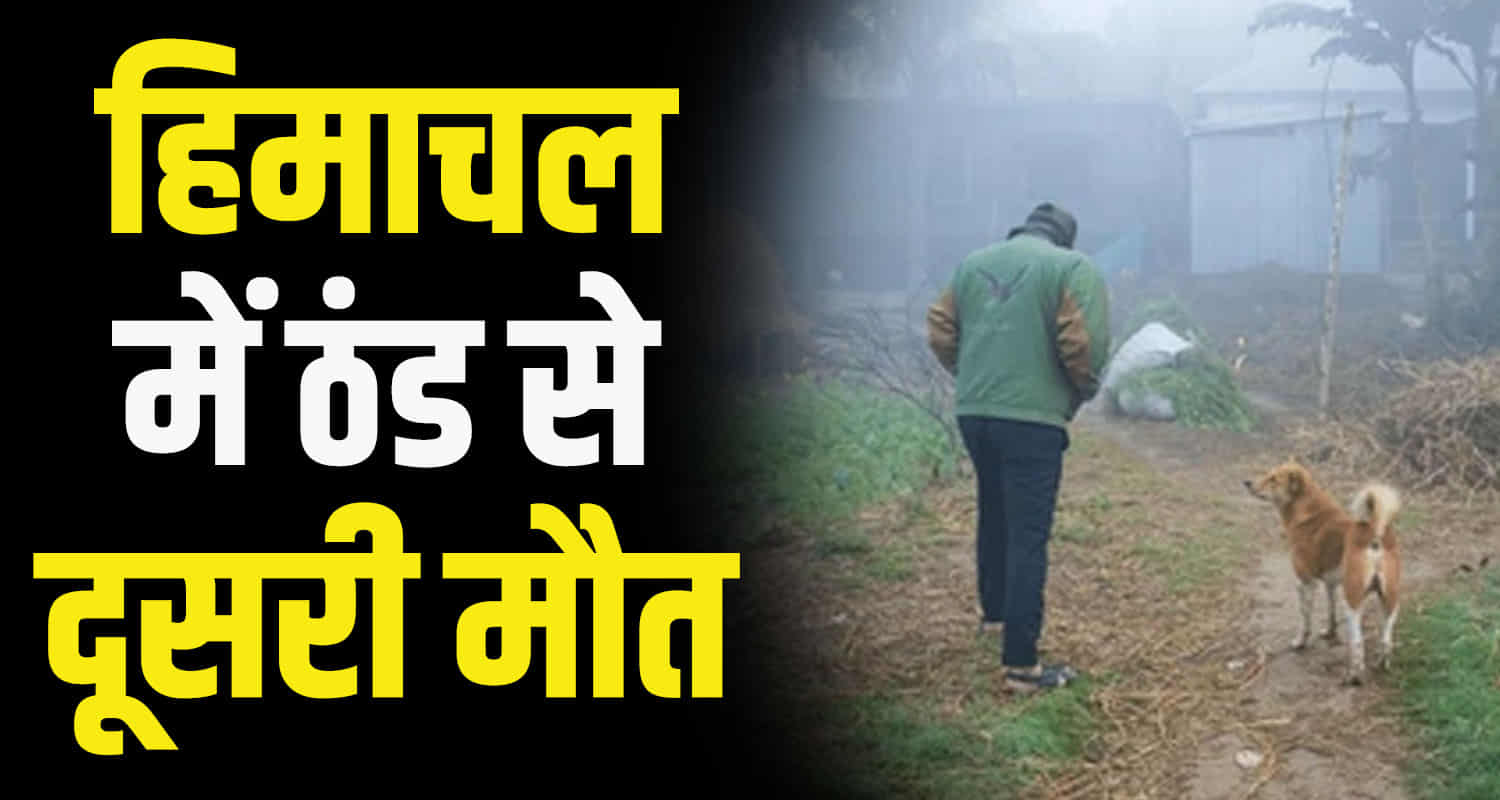 Person lost life due to cold shimla himachal body of missing person found