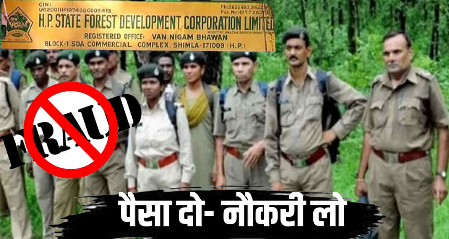 Forest department jobs himachal government rohru shimla two brothers fraud