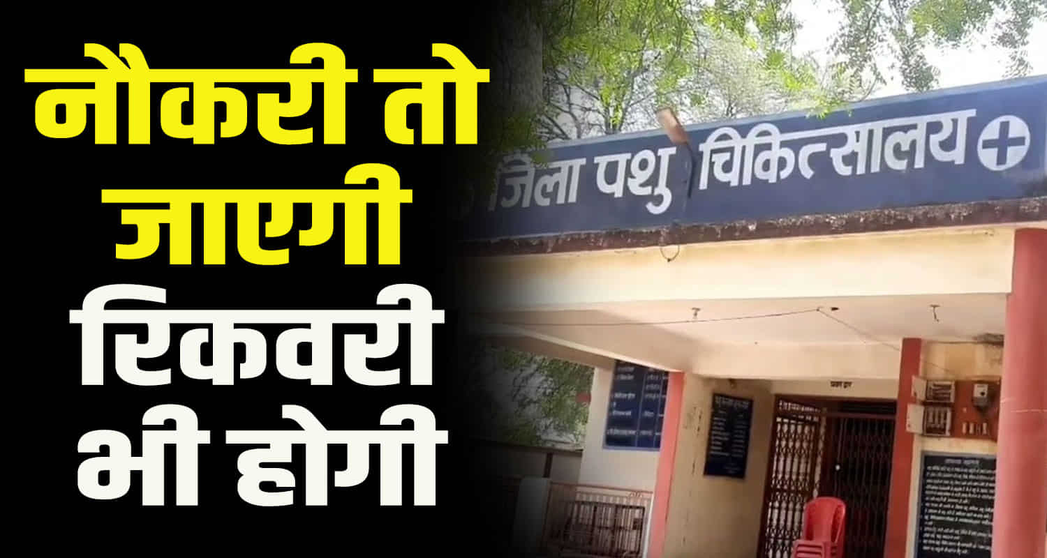 Himachal kullu person job animal husbandry department fake certificate dismissed