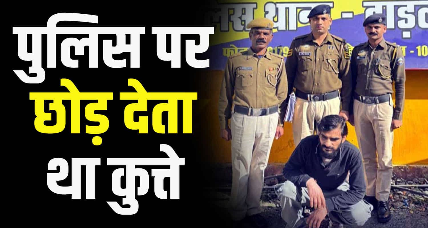 Himachal solan police arrested chitta supplier pintu raised ferocious dogs