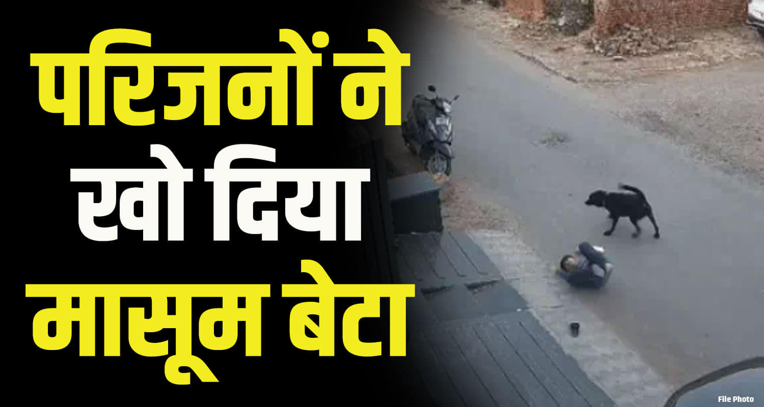 Himachal sirmaur 5 year old boy mauled by dog 19 days in hospital