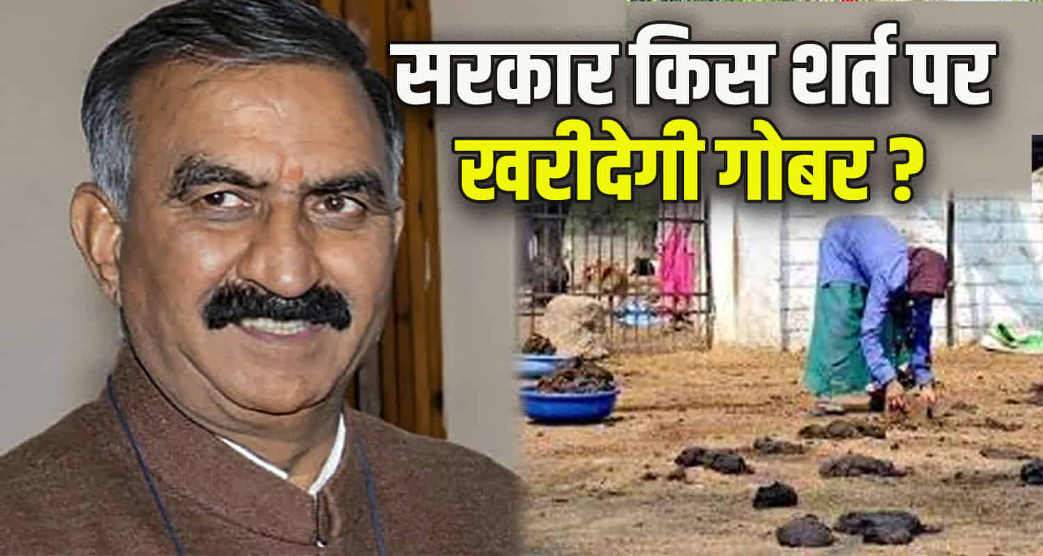 Himachal congress minister chandra kumar disclosed sukhu govt fulfilling guarantee buying cow dung