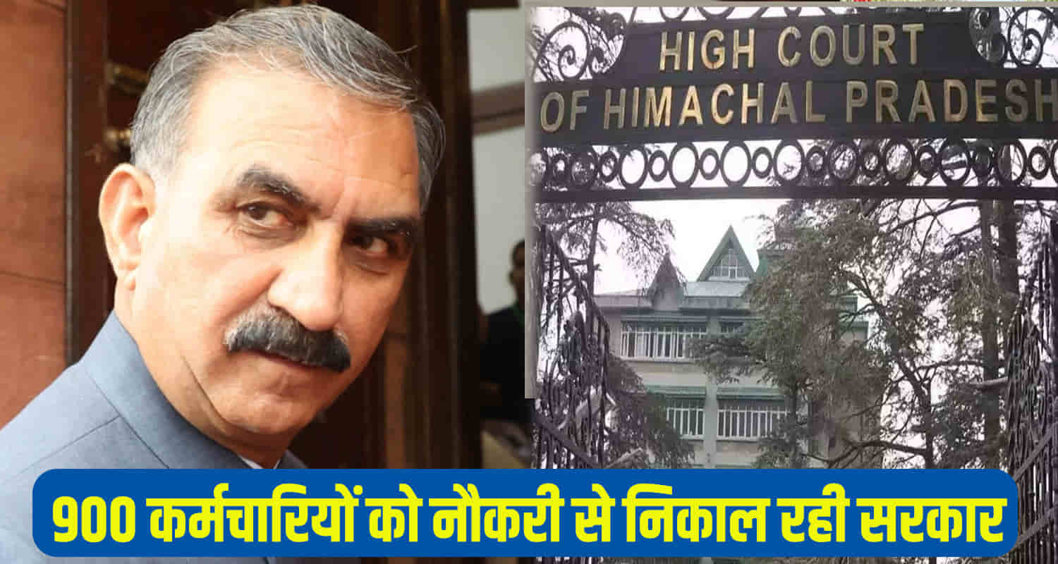 Himachal high court seeks response state govt sacking 900 employees horticulture department