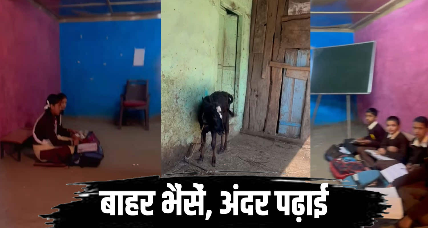 Govt school himachal classes held stable building constructed 35 year hindi update