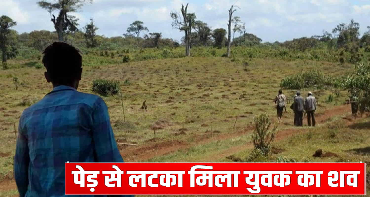 Migrant laborer tree pandoga una himachal uttar pradesh