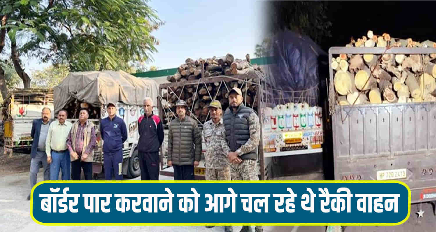 Himachal una cid police forest department seized 15 vehicles carrying illegal wood