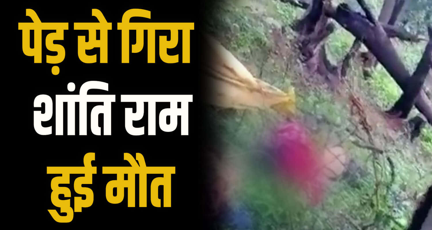 Himachal news update hindi kullu man no more fell from tree