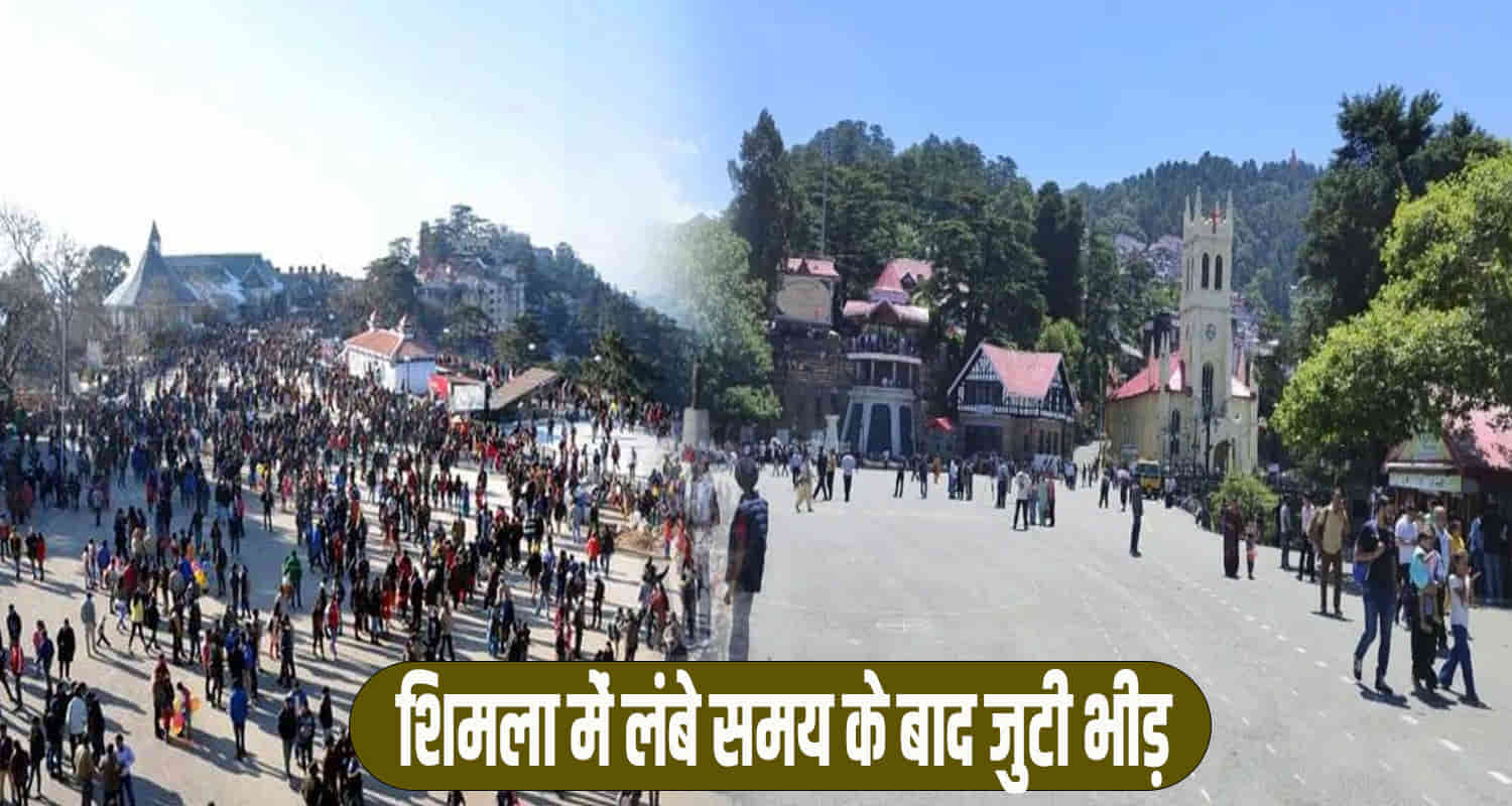 Himachal news tourism department tourists in shimla hotels pack winter celebration