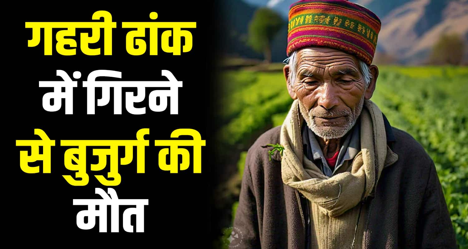 Old man fell ditch marriage ceremony mandi himachal pradesh