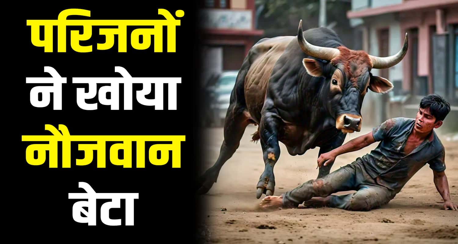 Bull young boy 19 years attack daulatpur una himachal pradesh