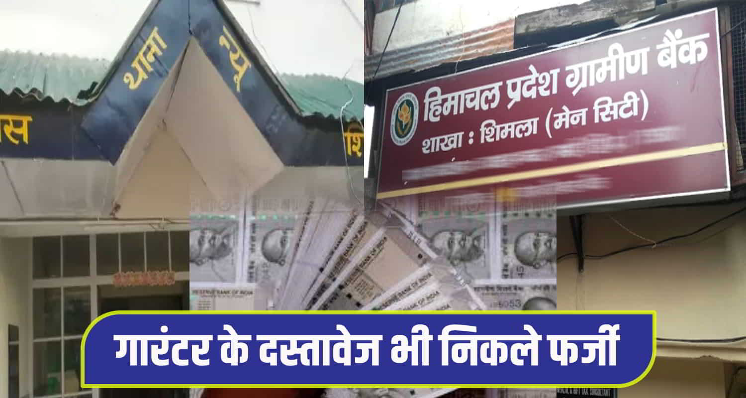 Fraud taking loan of 10 lakhs from himachal shimla gramin bank using fake documents