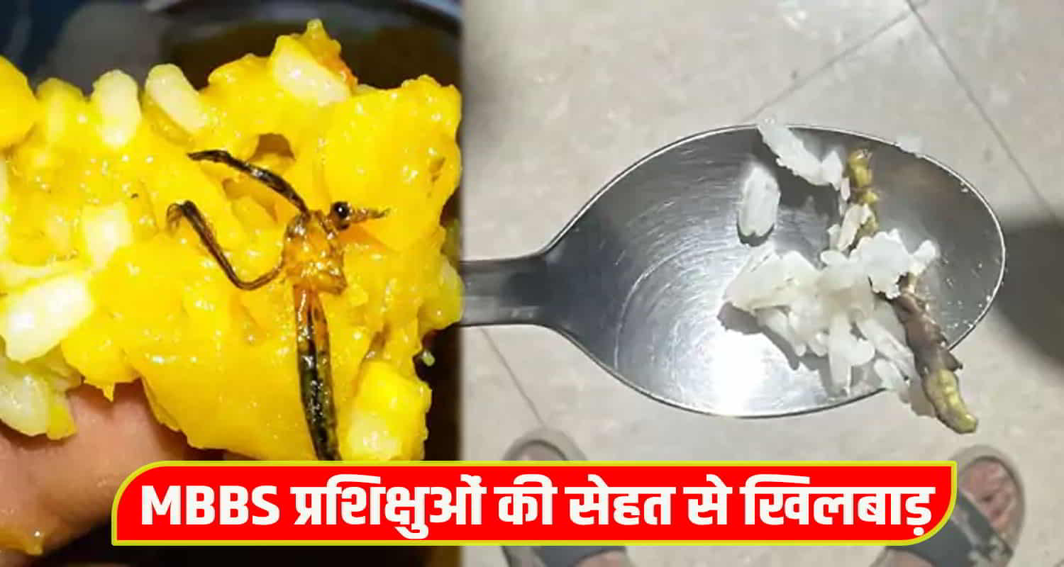 Insects flies found food mbbs trainee himachal chamba medical college hospital news medical collage hostel mbbs hostel latest hindi news today news crime news