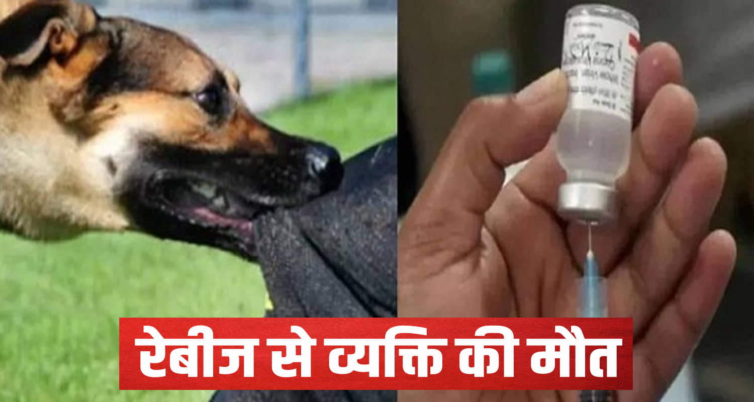 Rabies in himachal health animal husbandry department became alert