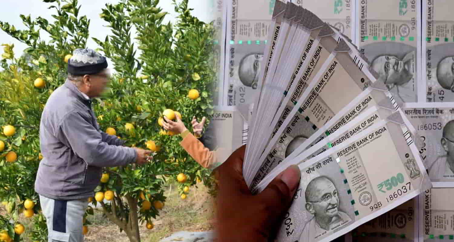 Himachal got gift 7 districts know who will benefit