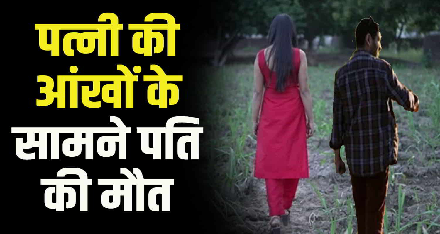 Himachal chamba man fell from tree