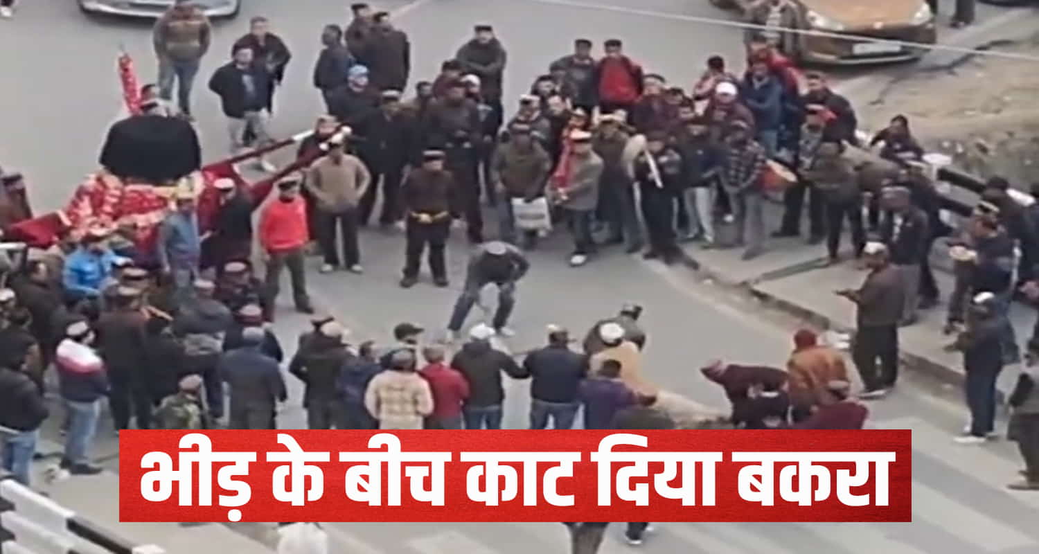 Himachal goat middle market many people were present at spot